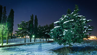 Noćni đir po Višnjiku, Foto: Anđelo Virag