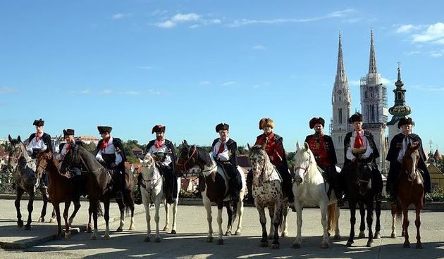 Konjički mimohod, konji