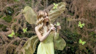 Misice kao šumske vile, koja ima ljepša krila?