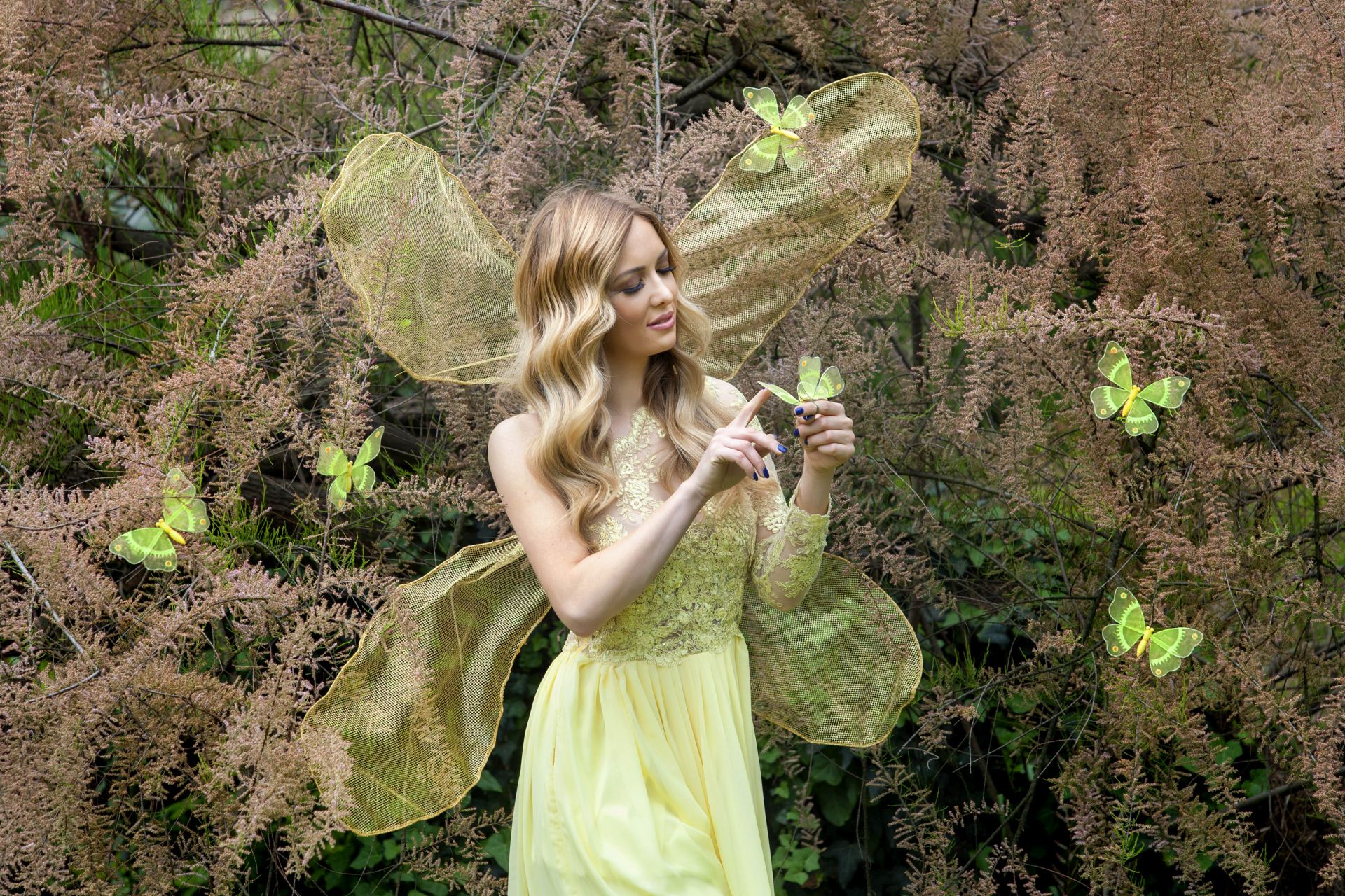 Misice kao šumske vile, koja ima ljepša krila?