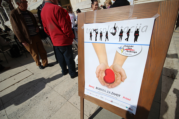 Daruj BUBREG ZA ŽIVOT primi (foto:Saša Čuka) Daruj BUBREG ZA ŽIVOT primi (foto:Saša Čuka)