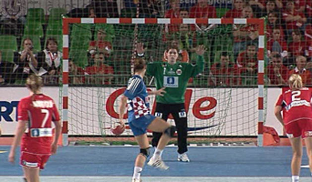 Hrvatska reprezentacija (Foto:hrs.hr)