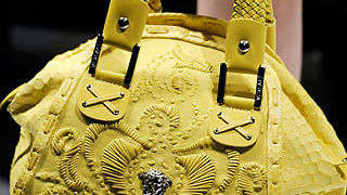 Torbice za proljeće 2010.