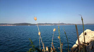 Jutarnji đir Puta Bajlom, foto: Iva Perinčić