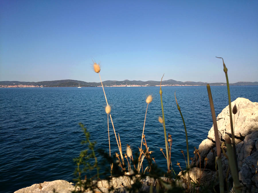 Jutarnji đir Puta Bajlom, foto: Iva Perinčić