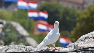 Uz zvukove hime “Lijepa naša” podignuta je zastava Republike Hrvatske na Kninskoj tvrđavi Uz zvukove hime “Lijepa naša” podignuta je zastava Republike Hrvatske na Kninskoj tvrđavi