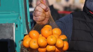 Mandarine na šibesnkoj