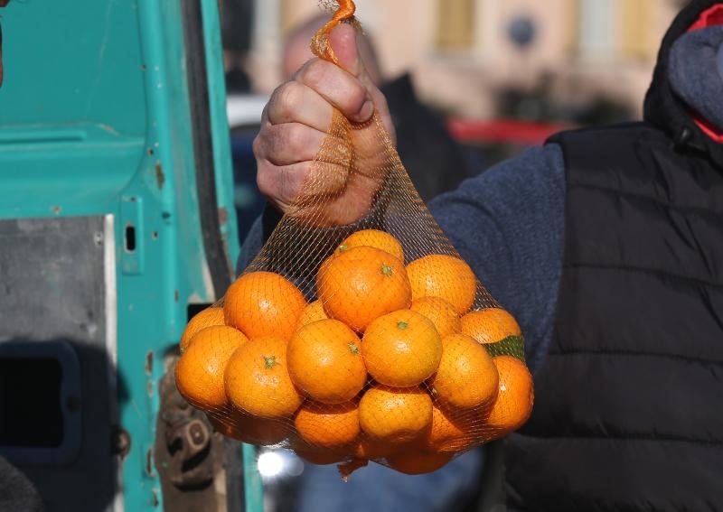 Mandarine na šibesnkoj