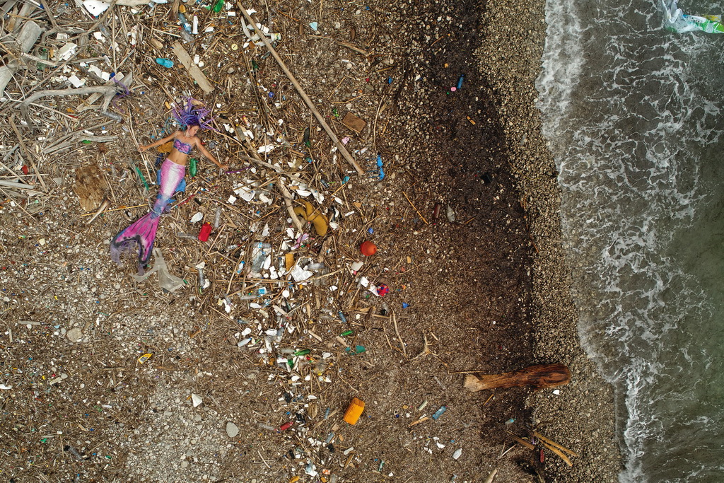 Mljet: Nasukana morska sirena Mljet: Nasukana morska sirena