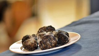 Predstavljanje tartufa s područja Zadarske županije, foto: eZadar