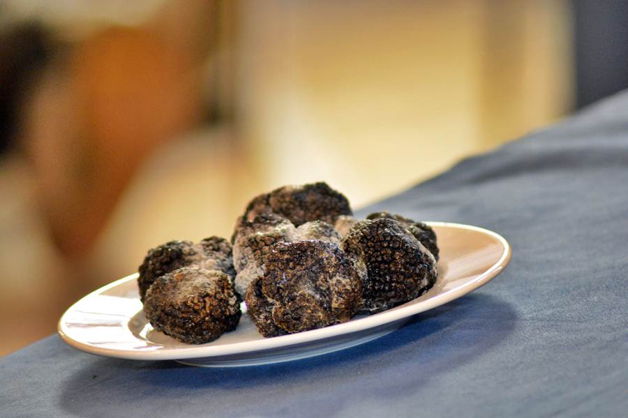 Predstavljanje tartufa s područja Zadarske županije, foto: eZadar