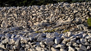 Rab, 131111.
Topao i suncan dan na Rabu idealan je za setnju po barbatskom kantu (pasnjacima) i za otkrivanje ljepota barbatskih kamenih suhozida. Suhozid je gradjevina od prirodnog kamena kojeg su tezaci gradili slagajuci kamen na kamen bez koristenja ve Rab, 131111.
Topao i suncan dan na Rabu idealan je za setnju po barbatskom kantu (pasnjacima) i za otkrivanje ljepota barbatskih kamenih suhozida. Suhozid je gradjevina od prirodnog kamena kojeg su tezaci gradili slagajuci kamen na kamen bez koristenja ve