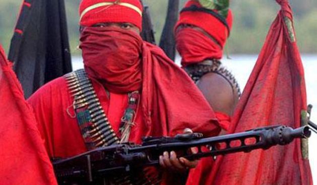 Nigerijski militanti (Foto: Telegraph.co.uk)