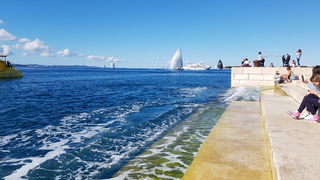 Zadarska Koka 2016. 22. listopada 2016. Foto: Mladen Malik Zadarska Koka 2016. 22. listopada 2016. Foto: Mladen Malik