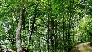 Pogled na impozantni Kremen