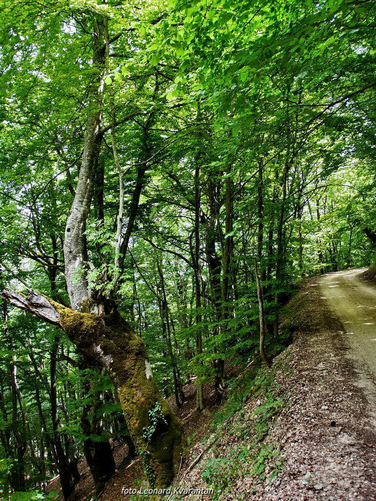 Pogled na impozantni Kremen