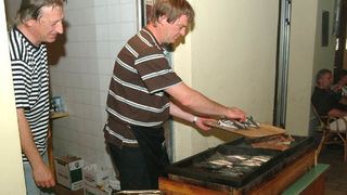 Festica na poluotoku, 11.srpnja 2008.