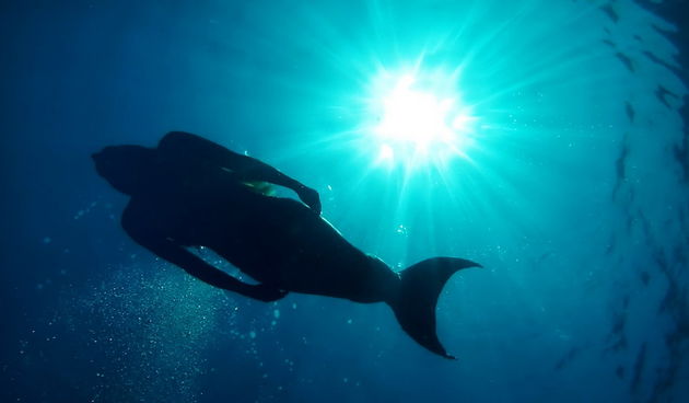 Kod otoka Prvića snimljen spot za pjesmu “Plovim” Tomislava Bralića i klape Intrade!