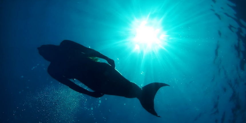 Kod otoka Prvića snimljen spot za pjesmu “Plovim” Tomislava Bralića i klape Intrade!