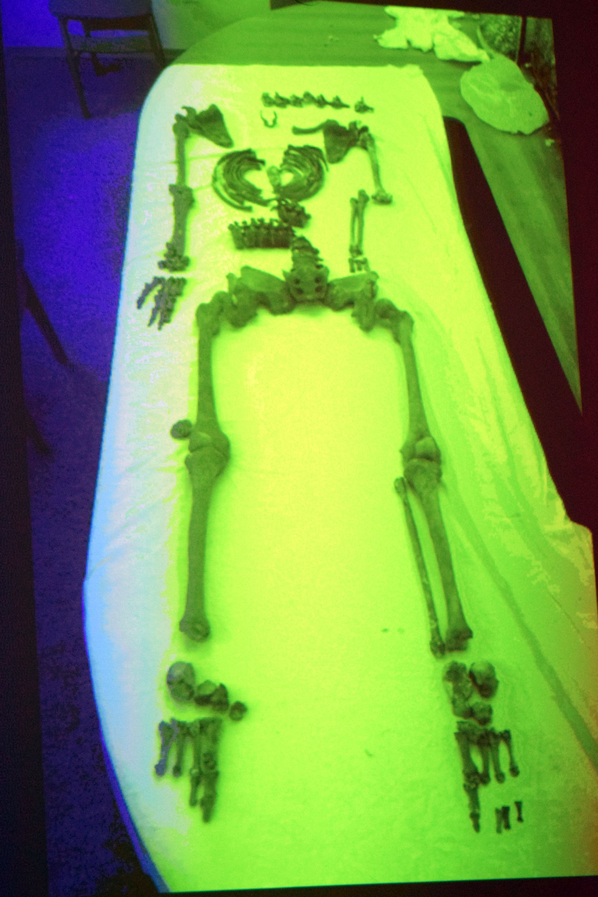 Otkrivene tajne relikvija zadarskih zaštitnika Otkrivene tajne relikvija zadarskih zaštitnika