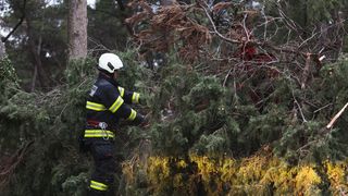 Olujno jugo oborilo stablo i električni stup