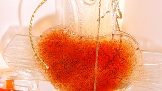 Otvorenje Galerije Laudato