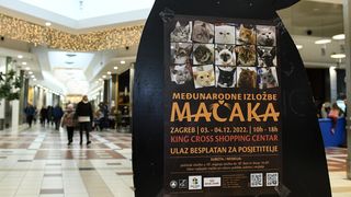 Međunarodna izložba mačaka