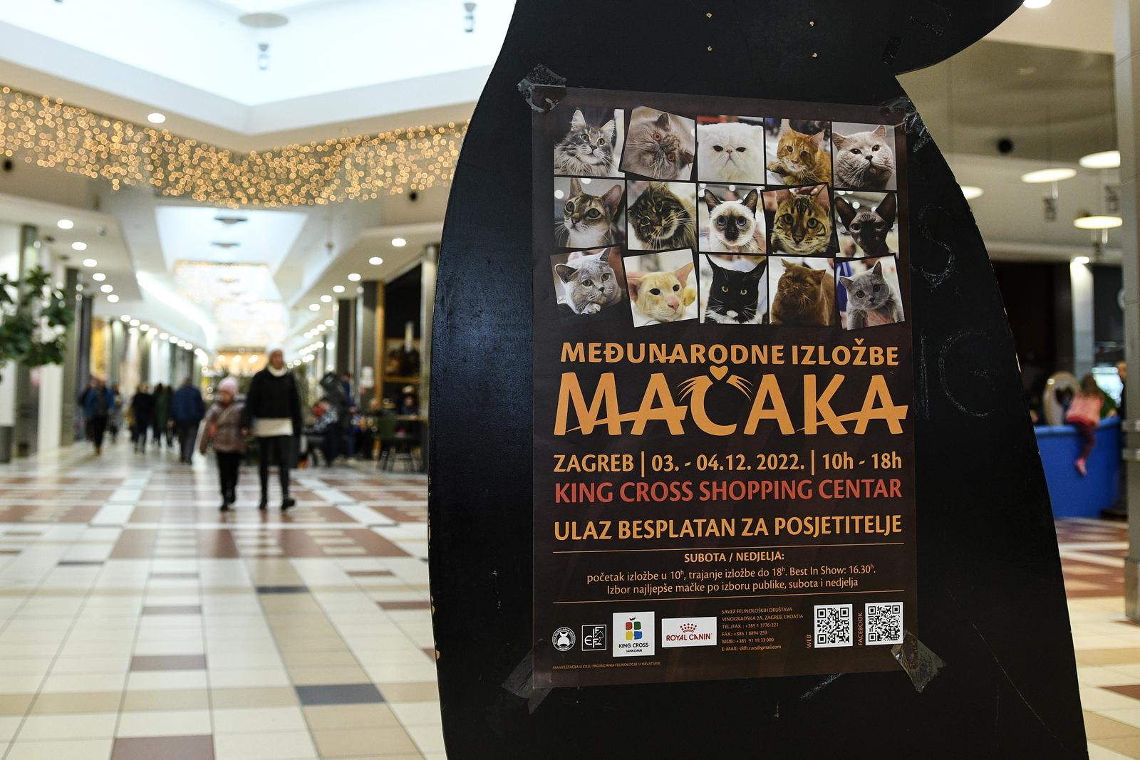 Međunarodna izložba mačaka