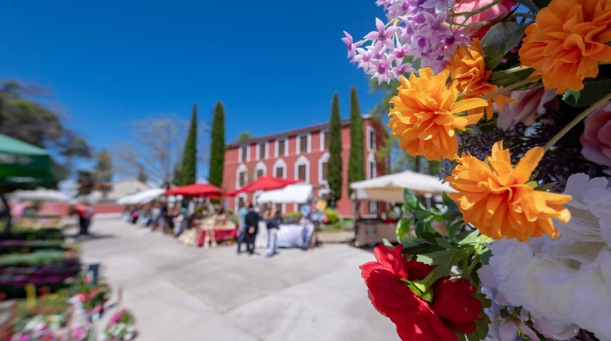 Sv Filip i Jakov Sv Filip i Jakov