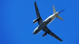 Regata Zadarska Koka 2015. Regata Zadarska Koka 2015.