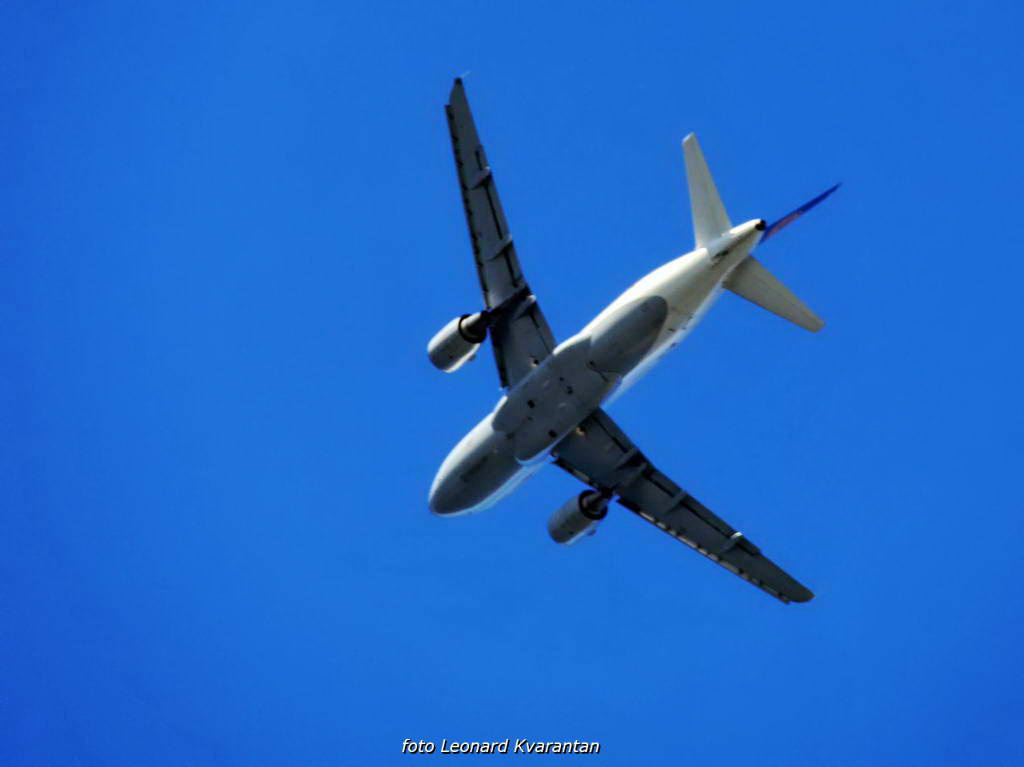 Regata Zadarska Koka 2015. Regata Zadarska Koka 2015.