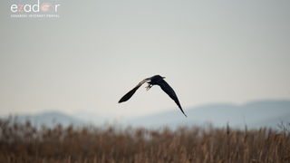 Nedjeljno svitanje na Vranskom jezeru Nedjeljno svitanje na Vranskom jezeru