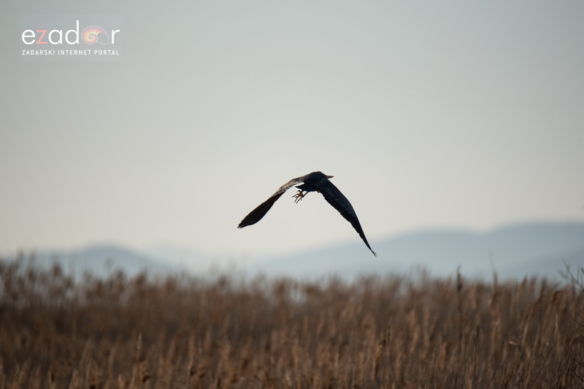 Nedjeljno svitanje na Vranskom jezeru Nedjeljno svitanje na Vranskom jezeru