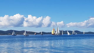 Zadarska Koka 2016. 22. listopada 2016. Foto: Mladen Malik Zadarska Koka 2016. 22. listopada 2016. Foto: Mladen Malik