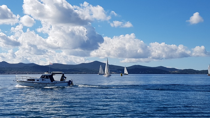 Zadarska Koka 2016. 22. listopada 2016. Foto: Mladen Malik Zadarska Koka 2016. 22. listopada 2016. Foto: Mladen Malik