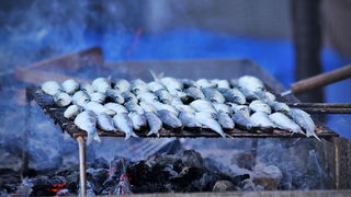 Velika fešta u bauMaxu 8. rujna 2012, Foto: Saša Čuka Velika fešta u bauMaxu 8. rujna 2012, Foto: Saša Čuka