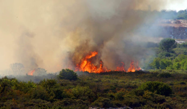 požar (foto: Marin Gospić)