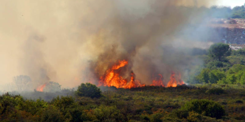 požar (foto: Marin Gospić) požar (foto: Marin Gospić)