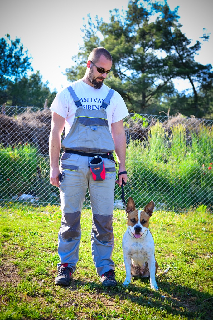 Kinološka udruga Malinois