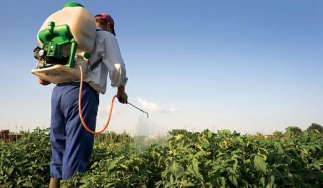 Škropljenje vinograda