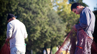 Ribar krpa mrižu svoju (foto:Saša Čuka) Ribar krpa mrižu svoju (foto:Saša Čuka)