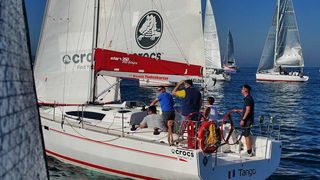 “Zadarska koka”: Regata za sve generacije snimljena iz “koke” “Zadarska koka”: Regata za sve generacije snimljena iz “koke”