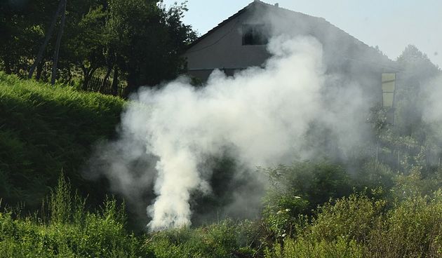 Paljenje korova Paljenje korova