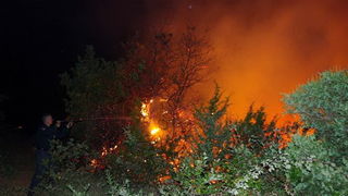 Vatrogasci gase pozar u Policima, Foto: Zdenko Knezevic