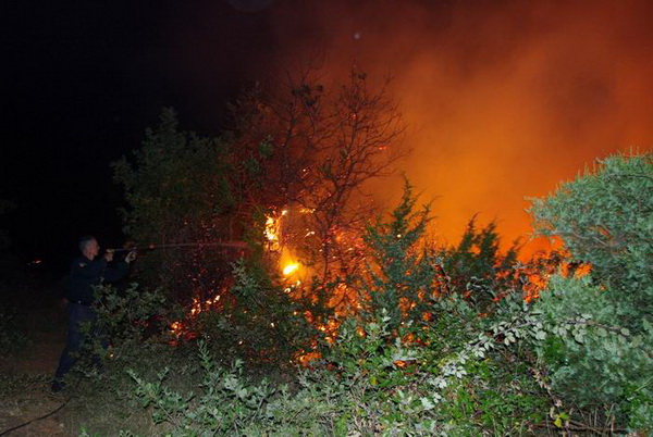 Vatrogasci gase pozar u Policima, Foto: Zdenko Knezevic