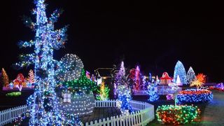 Dva milijuna lampica za božićnu čaroliju na imanju Salaj