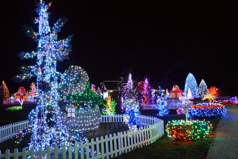 Dva milijuna lampica za božićnu čaroliju na imanju Salaj