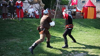 Zvonimirovi dani, Knin 28. i 29. lipnja 2008.