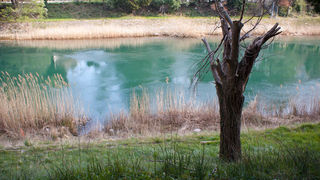 Šetnjica poučnom stazom sv. Leopolda Mandića, Mosor, foto: Darko Belančić