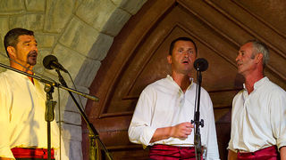 Raspivano Bibinje 2013: Prva večer, Foto: Leo Banić